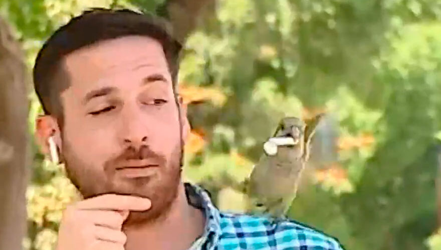 loro-periodista