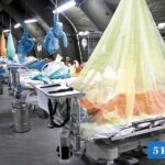 Piura emitió alerta tras incremento de casos de dengue