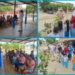Piura siembra árboles en colegio de La Legua